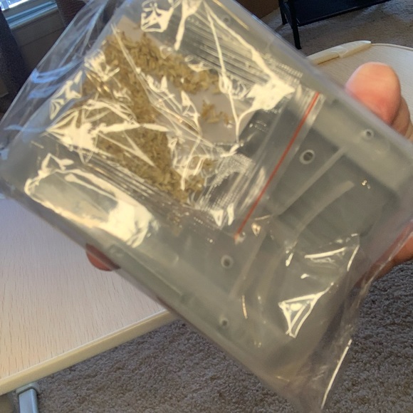 Cat Wall Corner Brushes (2 Pieces) Brand New Cat Supplies, Pet Grooming Products - Picture 4 of 9